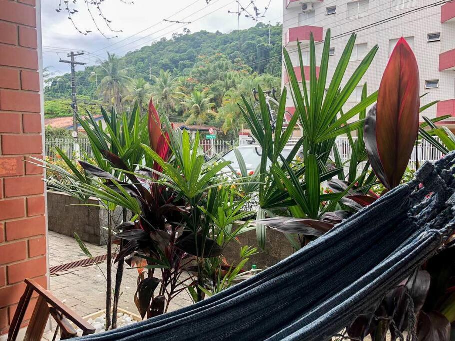 Apartamento A 230 Mts Da Praia Em Ubatuba Exterior foto